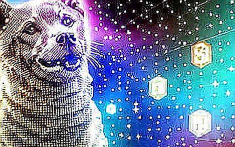 The Iran Ultimatum: How Netanyahu's 'Regime Change' Narrative Reshapes Crypto's Risk Premium The Iran Ultimatum: How Netanyahu's 'Regime Change' Narrative Reshapes Crypto's Risk Premium