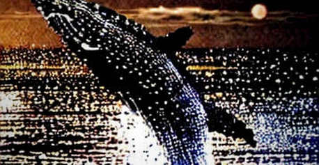 Whale Moves 1,727 BTC to Binance: Sell Signal or OTC Maneuver?