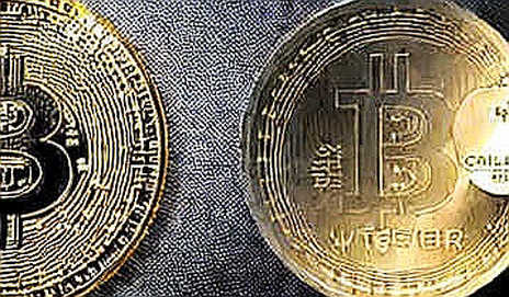 Pakistan's Crypto License Portal: The Data That No One Is Watching Pakistan's Crypto License Portal: The Data That No One Is Watching